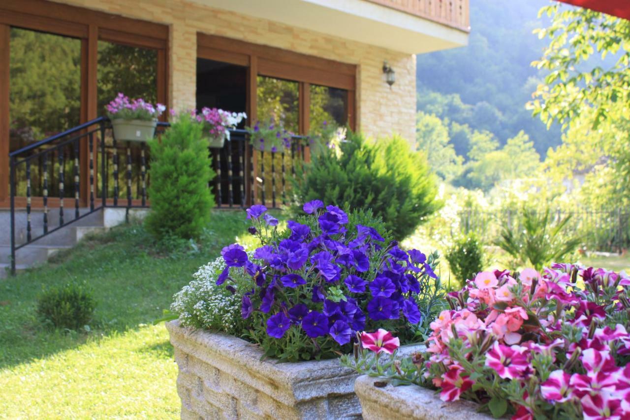 Vila Alexander B&B Валбона Экстерьер фото